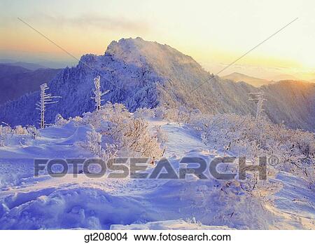 Korea, nature, landscape, scenery, scene, Jiri mountain, Jiri View Large Photo Image Picture - Korea, nature, landscape, scenery, scene, Jiri mountain, Jiri. Fotosearch