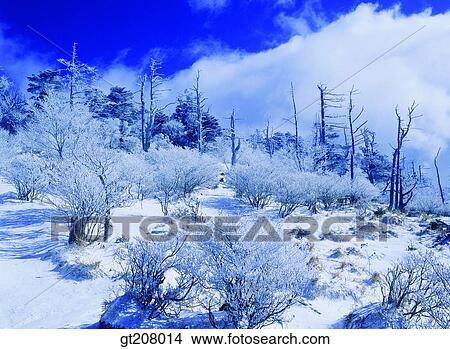 Korea, nature, landscape, scenery, scene, Jiri mountain, Jiri View Large Photo Image Picture - Korea, nature, landscape, scenery, scene, Jiri mountain, Jiri. Fotosearch