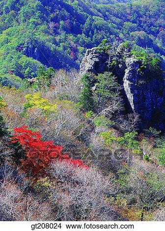 Korea, nature, landscape, scenery, scene, Jiri mountain, Jiri View Large Photo Image Picture - Korea, nature, landscape, scenery, scene, Jiri mountain, Jiri. Fotosearch