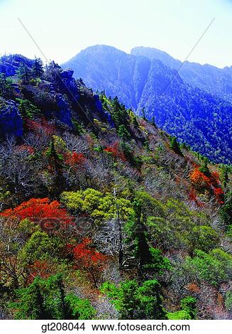 Korea, nature, landscape, scenery, scene, Jiri mountain, Jiri View Large Photo Image Picture - Korea, nature, landscape, scenery, scene, Jiri mountain, Jiri. Fotosearch