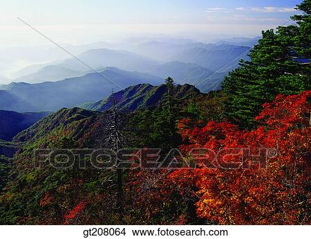 Picture - Korea, nature, landscape, scenery, scene, Jiri mountain, Jiri. Fotosearch