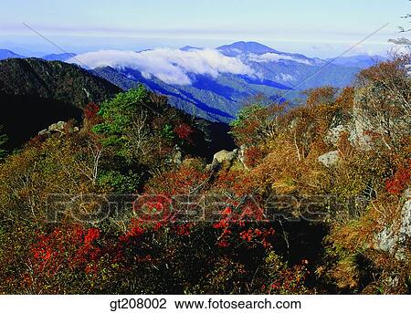 Korea, nature, landscape, scenery, scene, Jiri mountain, Jiri View Large Photo Image Stock Image - Korea, nature, landscape, scenery, scene, Jiri mountain, Jiri. Fotosearch