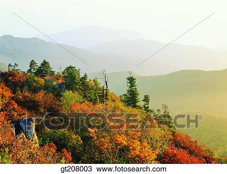 Korea, nature, landscape, scenery, scene, Jiri mountain, Jiri View Large Photo Image Stock Image - Korea, nature, landscape, scenery, scene, Jiri mountain, Jiri. Fotosearch