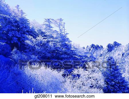 Korea, nature, landscape, scenery, scene, Jiri mountain, Jiri View Large Photo Image Stock Image - Korea, nature, landscape, scenery, scene, Jiri mountain, Jiri. Fotosearch