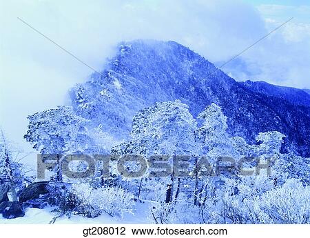 Stock Image - Korea, nature, landscape, scenery, scene, Jiri mountain, Jiri. Fotosearch