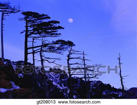 Korea, nature, landscape, scenery, scene, Jiri mountain, Jiri View Large Photo Image Stock Image - Korea, nature, landscape, scenery, scene, Jiri mountain, Jiri. Fotosearch