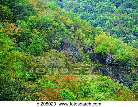 Korea, nature, landscape, scenery, scene, Jiri mountain, Jiri View Large Photo Image Stock Image - Korea, nature, landscape, scenery, scene, Jiri mountain, Jiri. Fotosearch