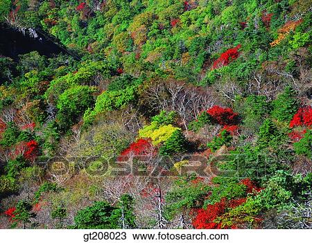 Korea, nature, landscape, scenery, scene, Jiri mountain, Jiri View Large Photo Image Stock Image - Korea, nature, landscape, scenery, scene, Jiri mountain, Jiri. Fotosearch