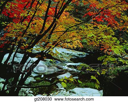 Stock Image - Korea, nature, landscape, scenery, scene, Jiri mountain, Jiri. Fotosearch