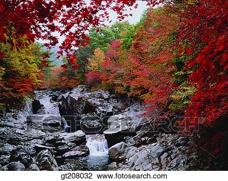 Stock Image - Korea, nature, landscape, scenery, scene, Jiri mountain, Jiri. Fotosearch