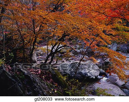 Korea, nature, landscape, scenery, scene, Jiri mountain, Jiri View Large Photo Image Stock Image - Korea, nature, landscape, scenery, scene, Jiri mountain, Jiri. Fotosearch