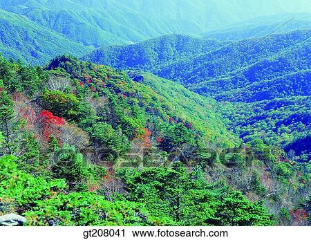 Stock Image - Korea, nature, landscape, scenery, scene, Jiri mountain, Jiri. Fotosearch
