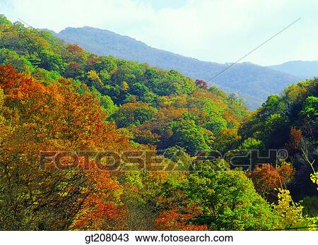 Korea, nature, landscape, scenery, scene, Jiri mountain, Jiri View Large Photo Image Stock Image - Korea, nature, landscape, scenery, scene, Jiri mountain, Jiri. Fotosearch