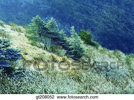 Korea, nature, landscape, scenery, scene, Jiri mountain, Jiri View Large Photo Image Stock Image - Korea, nature, landscape, scenery, scene, Jiri mountain, Jiri. Fotosearch