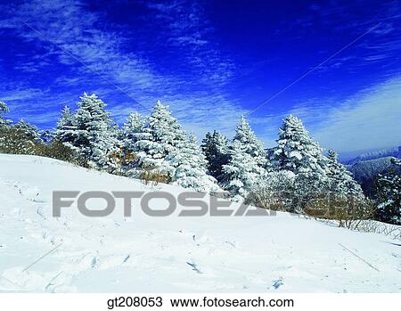 Korea, nature, landscape, scenery, scene, Jiri mountain, Jiri View Large Photo Image Stock Image - Korea, nature, landscape, scenery, scene, Jiri mountain, Jiri. Fotosearch