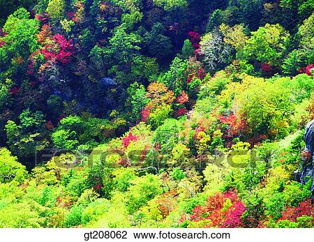 Stock Image - Korea, nature, landscape, scenery, scene, Jiri mountain, Jiri. Fotosearch