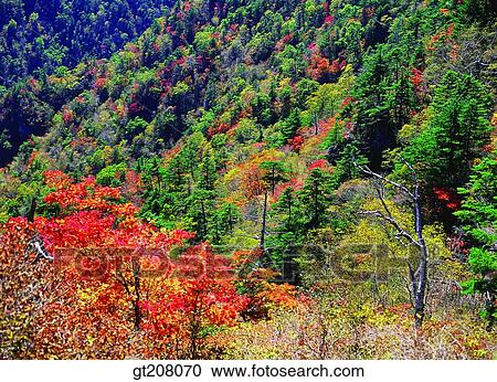 Korea, nature, landscape, scenery, scene, Jiri mountain, Jiri View Large Photo Image Stock Image - Korea, nature, landscape, scenery, scene, Jiri mountain, Jiri. Fotosearch