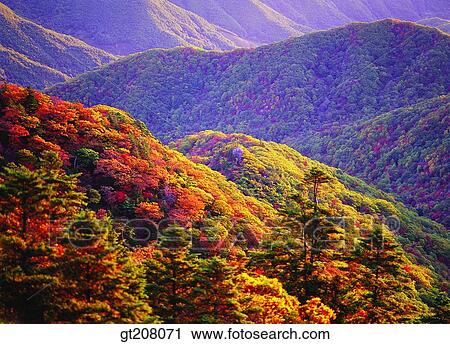 Korea, nature, landscape, scenery, scene, Jiri mountain, Jiri View Large Photo Image Stock Image - Korea, nature, landscape, scenery, scene, Jiri mountain, Jiri. Fotosearch