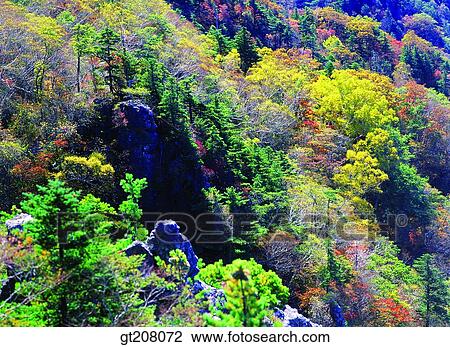 Korea, nature, landscape, scenery, scene, Jiri mountain, Jiri View Large Photo Image Stock Image - Korea, nature, landscape, scenery, scene, Jiri mountain, Jiri. Fotosearch