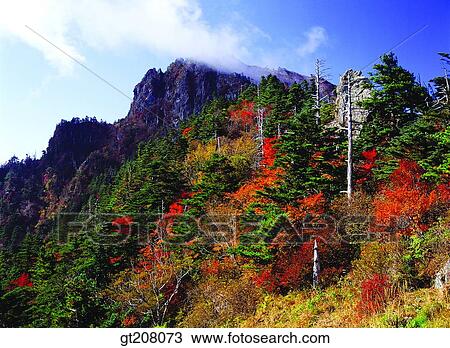 Korea, nature, landscape, scenery, scene, Jiri mountain, Jiri View Large Photo Image Stock Image - Korea, nature, landscape, scenery, scene, Jiri mountain, Jiri. Fotosearch