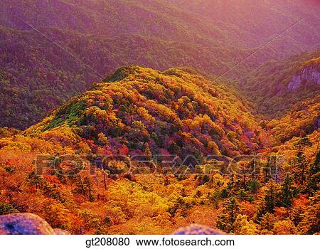 Stock Image - Korea, nature, landscape, scenery, scene, Jiri mountain, Jiri. Fotosearch