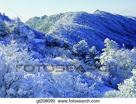 Korea, nature, landscape, scenery, scene, Jiri mountain, Jiri View Large Photo Image Stock Image - Korea, nature, landscape, scenery, scene, Jiri mountain, Jiri. Fotosearch