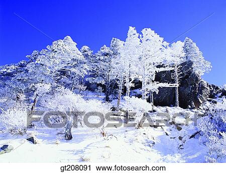 Korea, nature, landscape, scenery, scene, Jiri mountain, Jiri View Large Photo Image Stock Image - Korea, nature, landscape, scenery, scene, Jiri mountain, Jiri. Fotosearch