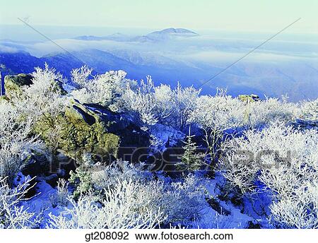 Korea, nature, landscape, scenery, scene, Jiri mountain, Jiri View Large Photo Image Stock Image - Korea, nature, landscape, scenery, scene, Jiri mountain, Jiri. Fotosearch