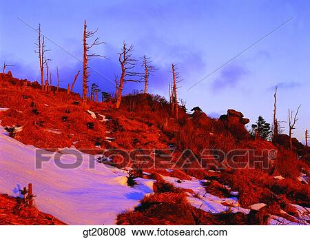 Stock Photo - Korea, nature, landscape, scenery, scene, Jiri mountain, Jiri. Fotosearch
