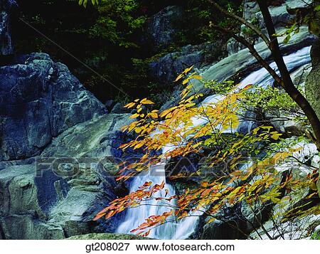 Korea, nature, landscape, scenery, scene, Jiri mountain, Jiri View Large Photo Image Stock Photo - Korea, nature, landscape, scenery, scene, Jiri mountain, Jiri. Fotosearch