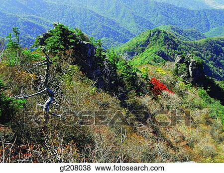 Stock Photo - Korea, nature, landscape, scenery, scene, Jiri mountain, Jiri. Fotosearch