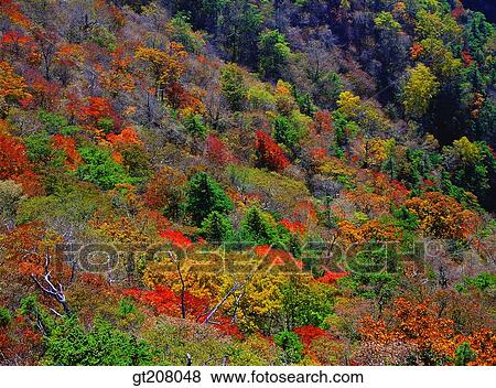 Korea, nature, landscape, scenery, scene, Jiri mountain, Jiri View Large Photo Image Stock Photo - Korea, nature, landscape, scenery, scene, Jiri mountain, Jiri. Fotosearch