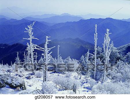 Stock Photo - Korea, nature, landscape, scenery, scene, Jiri mountain, Jiri. Fotosearch
