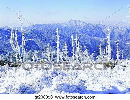 Korea, nature, landscape, scenery, scene, Jiri mountain, Jiri View Large Photo Image Stock Photo - Korea, nature, landscape, scenery, scene, Jiri mountain, Jiri. Fotosearch