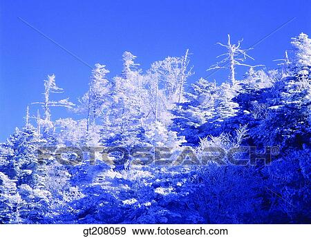 Korea, nature, landscape, scenery, scene, Jiri mountain, Jiri View Large Photo Image Stock Photo - Korea, nature, landscape, scenery, scene, Jiri mountain, Jiri. Fotosearch