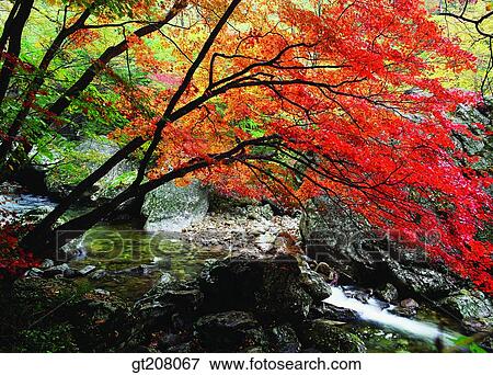 Korea, nature, landscape, scenery, scene, Jiri mountain, Jiri View Large Photo Image Stock Photo - Korea, nature, landscape, scenery, scene, Jiri mountain, Jiri. Fotosearch