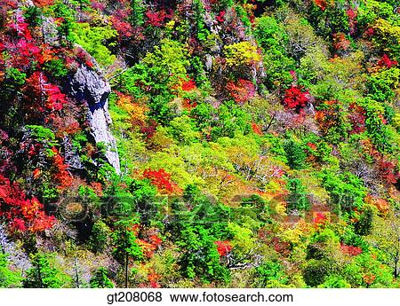 Korea, nature, landscape, scenery, scene, Jiri mountain, Jiri View Large Photo Image Stock Photo - Korea, nature, landscape, scenery, scene, Jiri mountain, Jiri. Fotosearch