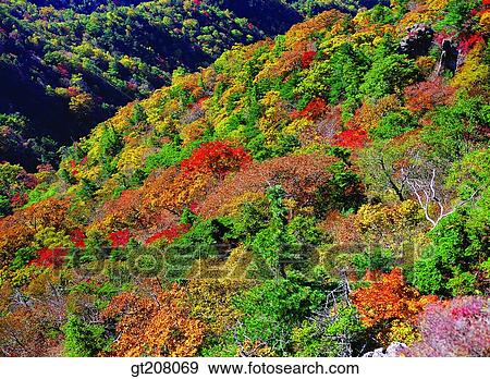 Korea, nature, landscape, scenery, scene, Jiri mountain, Jiri View Large Photo Image Stock Photo - Korea, nature, landscape, scenery, scene, Jiri mountain, Jiri. Fotosearch