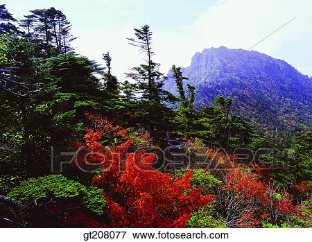 Korea, nature, landscape, scenery, scene, Jiri mountain, Jiri View Large Photo Image Stock Photo - Korea, nature, landscape, scenery, scene, Jiri mountain, Jiri. Fotosearch