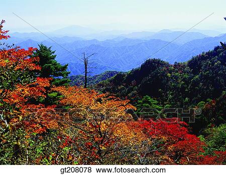 Korea, nature, landscape, scenery, scene, Jiri mountain, Jiri View Large Photo Image Stock Photo - Korea, nature, landscape, scenery, scene, Jiri mountain, Jiri. Fotosearch