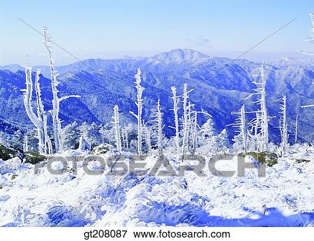 Stock Photo - Korea, nature, landscape, scenery, scene, Jiri mountain, Jiri. Fotosearch