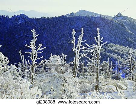 Korea, nature, landscape, scenery, scene, Jiri mountain, Jiri View Large Photo Image Stock Photo - Korea, nature, landscape, scenery, scene, Jiri mountain, Jiri. Fotosearch