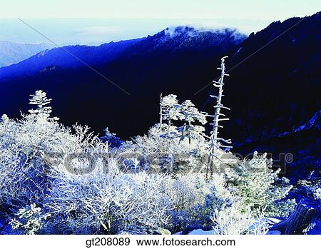 Korea, nature, landscape, scenery, scene, Jiri mountain, Jiri View Large Photo Image Stock Photo - Korea, nature, landscape, scenery, scene, Jiri mountain, Jiri. Fotosearch