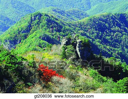 Stock Photograph - Korea, nature, landscape, scenery, scene, Jiri mountain, Jiri. Fotosearch
