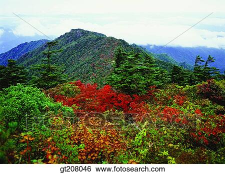 Korea, nature, landscape, scenery, scene, Jiri mountain, Jiri View Large Photo Image Stock Photograph - Korea, nature, landscape, scenery, scene, Jiri mountain, Jiri. Fotosearch
