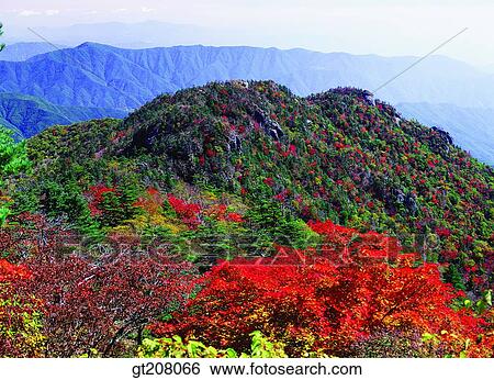 Korea, nature, landscape, scenery, scene, Jiri mountain, Jiri View Large Photo Image Stock Photograph - Korea, nature, landscape, scenery, scene, Jiri mountain, Jiri. Fotosearch