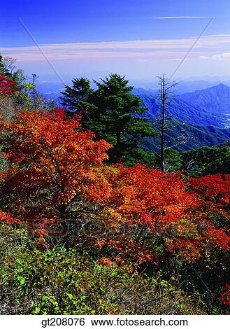 Korea, nature, landscape, scenery, scene, Jiri mountain, Jiri View Large Photo Image Stock Photograph - Korea, nature, landscape, scenery, scene, Jiri mountain, Jiri. Fotosearch
