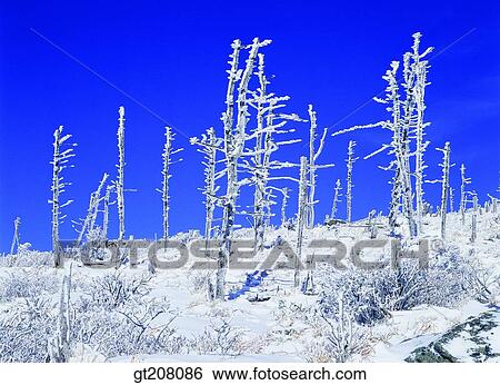 Korea, nature, landscape, scenery, scene, Jiri mountain, Jiri View Large Photo Image Stock Photograph - Korea, nature, landscape, scenery, scene, Jiri mountain, Jiri. Fotosearch