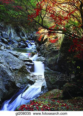 Korea, nature, landscape, scenery, scene, Jiri mountain, Jiri View Large Photo Image Stock Photography - Korea, nature, landscape, scenery, scene, Jiri mountain, Jiri. Fotosearch