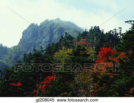 Stock Photography - Korea, nature, landscape, scenery, scene, Jiri mountain, Jiri. Fotosearch